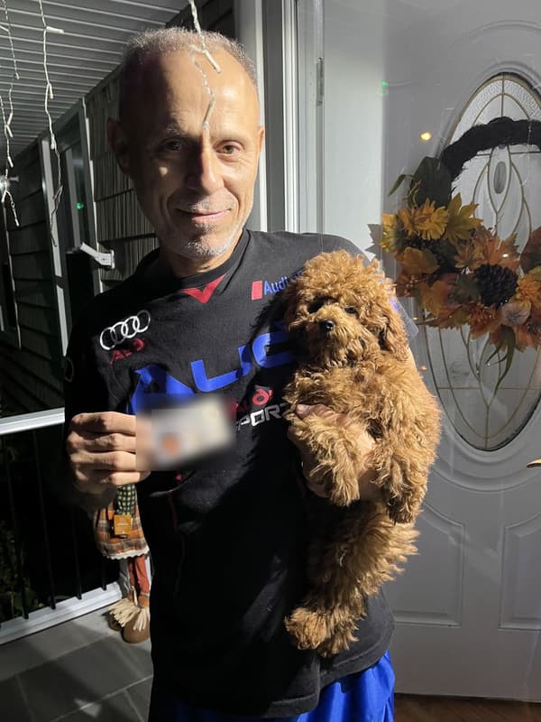Customer photo of Poodle, Toy puppy from Marino N.