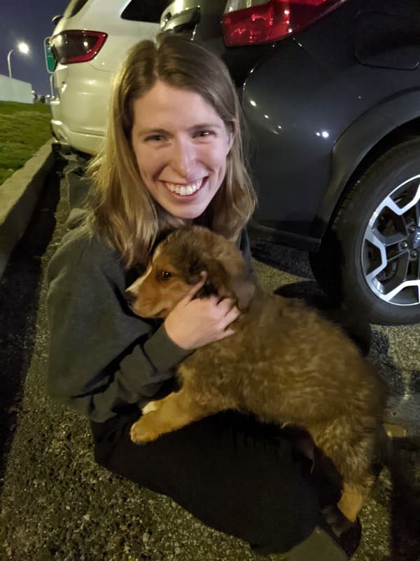 Customer photo of Bernedoodle puppy from Graham F. 