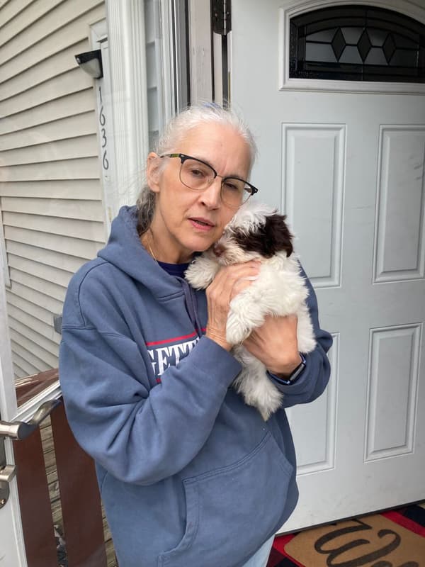 Customer photo of Havanese puppy from Deborah R.
