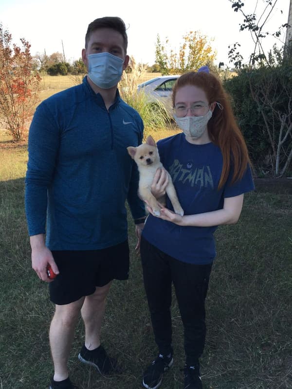 Customer photo of Pomsky puppy from Bethany M.