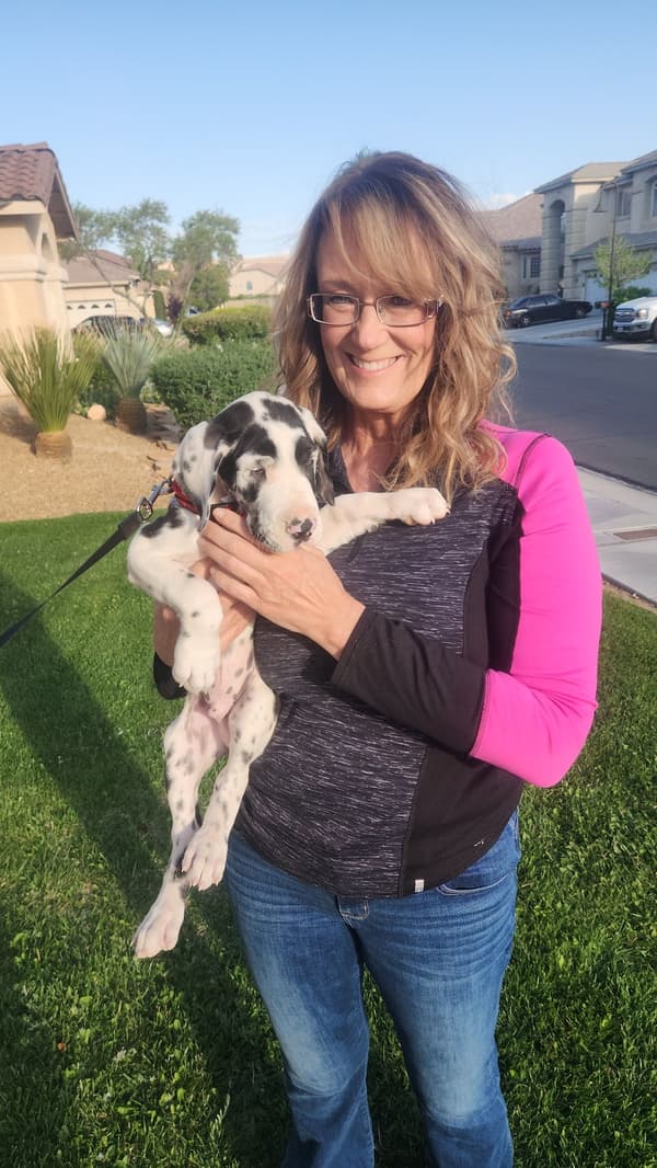 Customer photo of Great Dane puppy from Celena W.