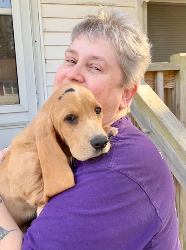 Customer photo of Basset Hound puppy from Myra M.