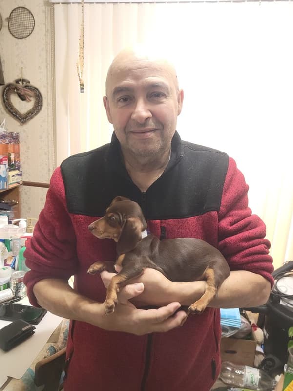 Customer photo of Dachshund, Mini puppy from Michael G. 