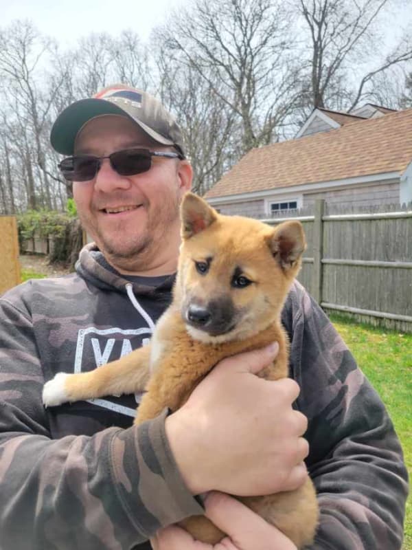 Customer photo of Shiba Inu puppy from Christopher S.