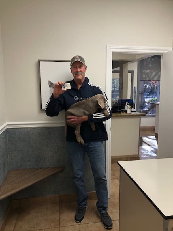 Customer photo of Labrador Retriever puppy from Jeffre P.