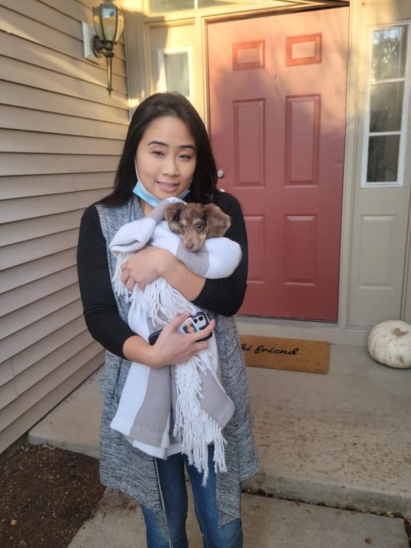 Customer photo of Dachshund, Mini puppy from Ivana C.