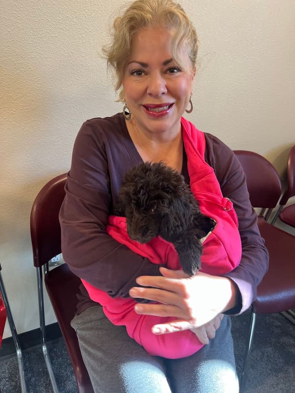 Customer photo of Poodle, Miniature puppy from Sylvia G.