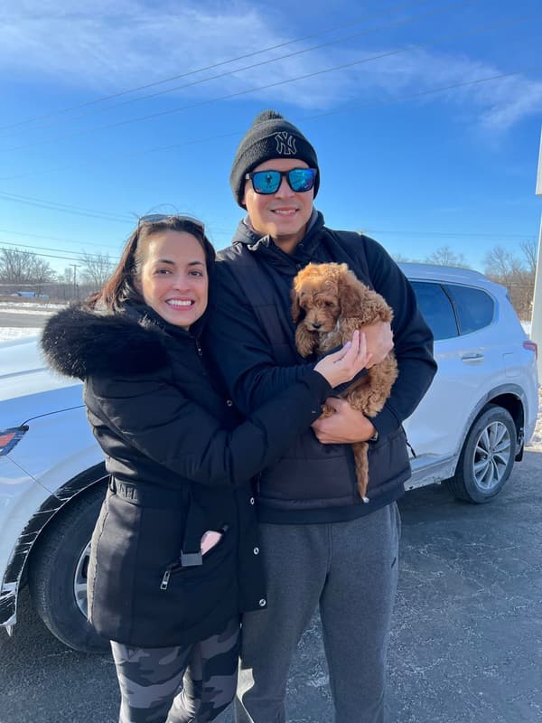 Customer photo of Goldendoodle, Mini puppy from Carlos M.