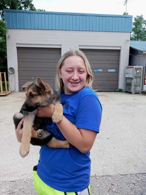 Customer photo of German Shepherd puppy from Sam S.