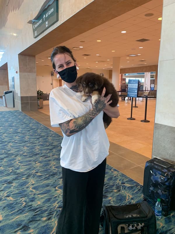 Customer photo of Miniature Australian Shepherd puppy from Talia H.