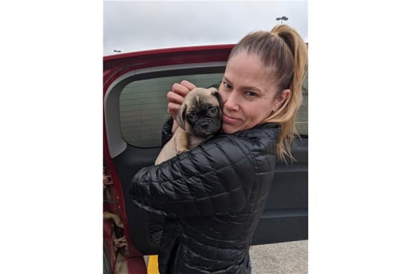 Customer photo of French Bulldog puppy from Stephanie M.