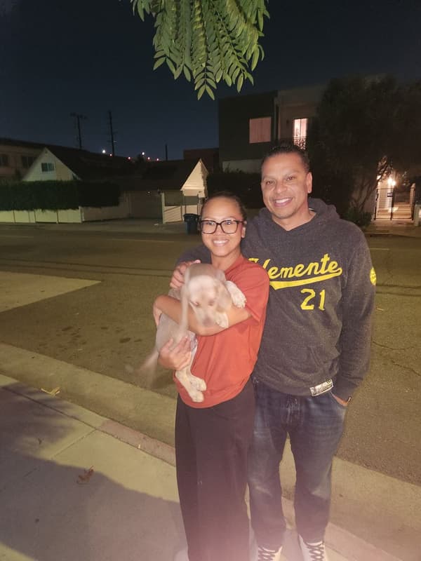 Customer photo of Beagle puppy from Skye C.