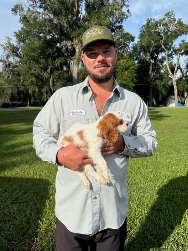 Customer photo of Cavalier King Charles Spaniel puppy from Summer J.