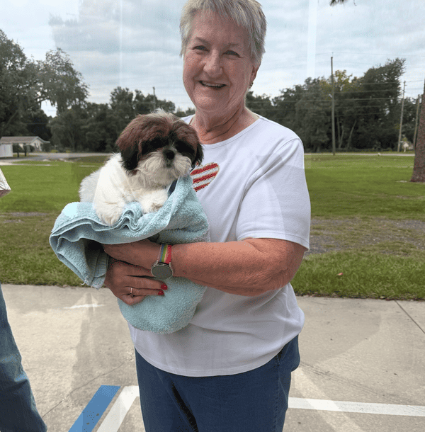 Customer photo of Shih Tzu puppy from Deborah M.