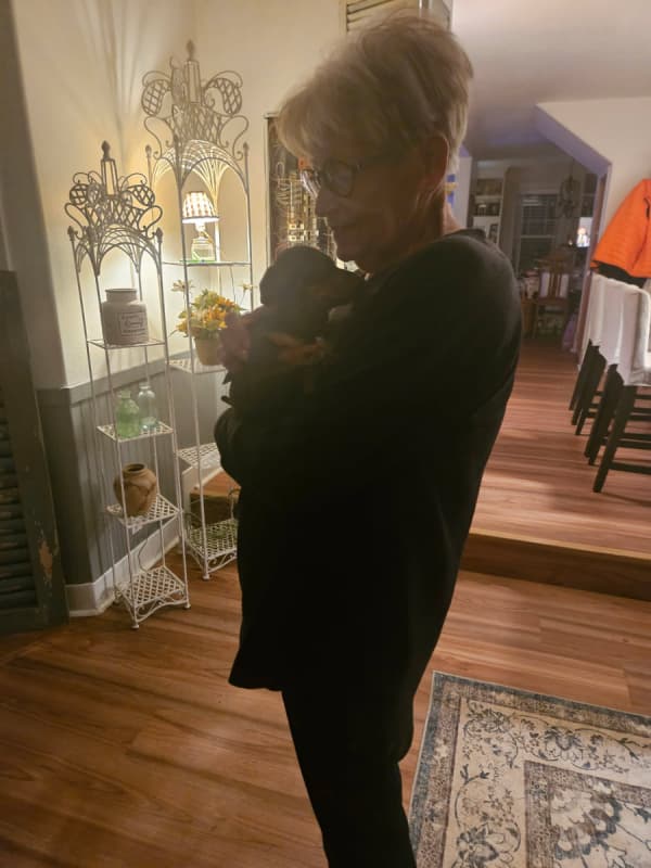 Customer photo of Dachshund, Mini puppy from Kristina K.