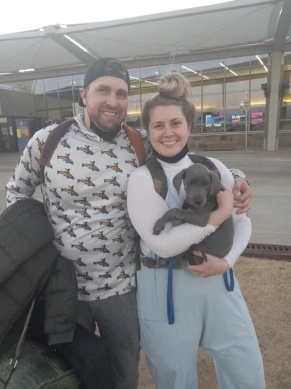 Customer photo of Great Dane puppy from Jordan S.