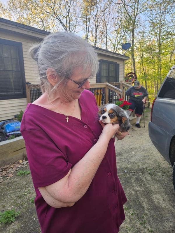 Customer photo of Cavalier King Charles Spaniel puppy from Pamela B.