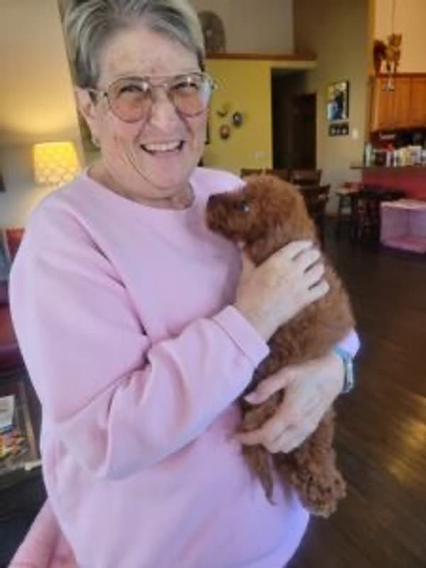 Customer photo of Cavapoo puppy from Maureen B.