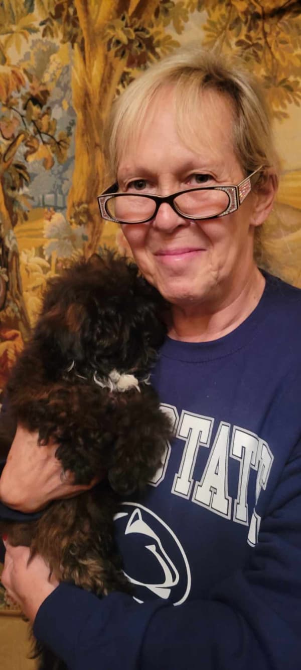 Customer photo of Shih-Poo - Shihpoo puppy from Alison G.