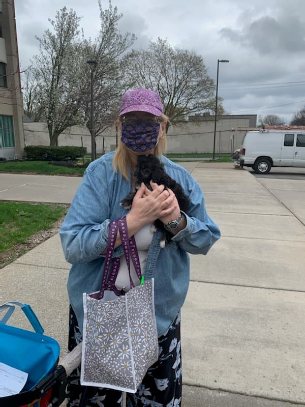 Customer photo of Cockapoo puppy from Genie W.