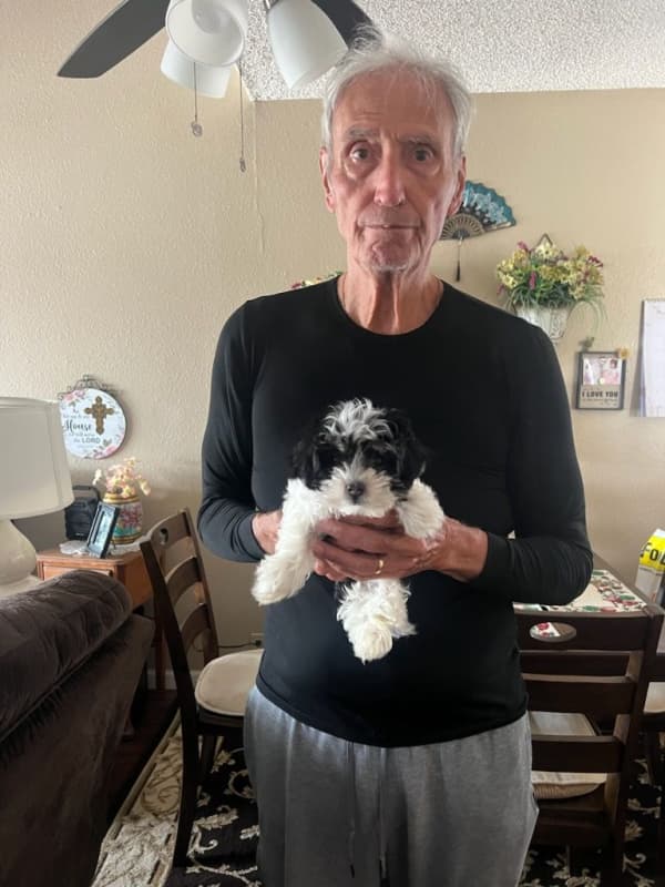 Customer photo of Malti Poo - Maltipoo puppy from Lori M. 