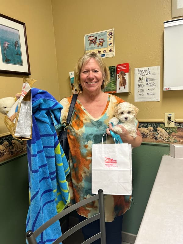 Customer photo of Malti Poo - Maltipoo puppy from Mary Ann A.