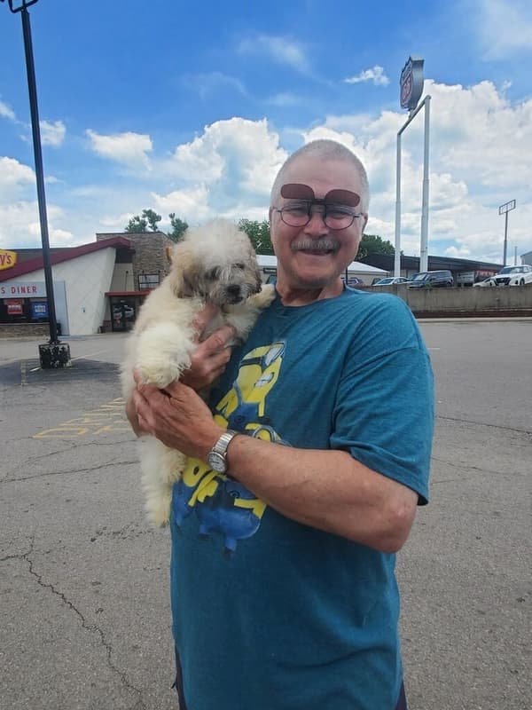 Customer photo of Shichon puppy from Daryl S.
