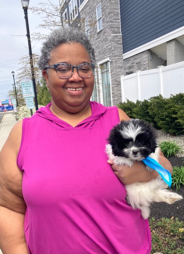 Customer photo of Mal-Shi - Malshi puppy from Lisa L.
