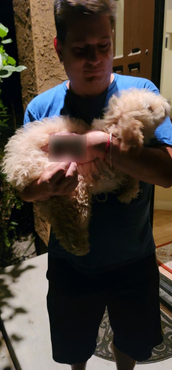 Customer photo of Aussiedoodle puppy from Jean S.