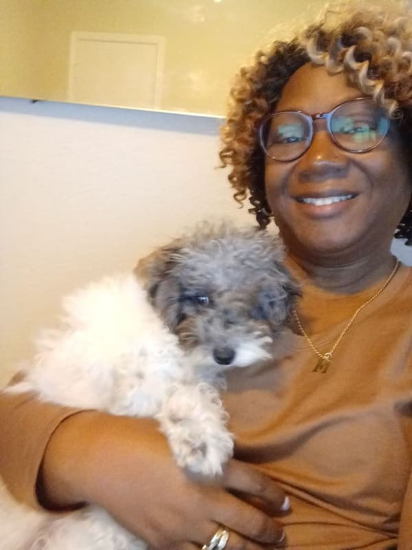 Customer photo of Poodle, Miniature puppy from Michelle F.