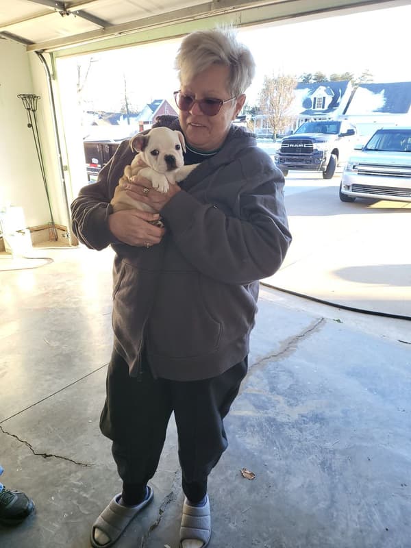 Customer photo of English Bulldog puppy from Jenny R.
