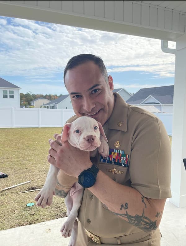 Customer photo of American Bully puppy from Bobby M. 