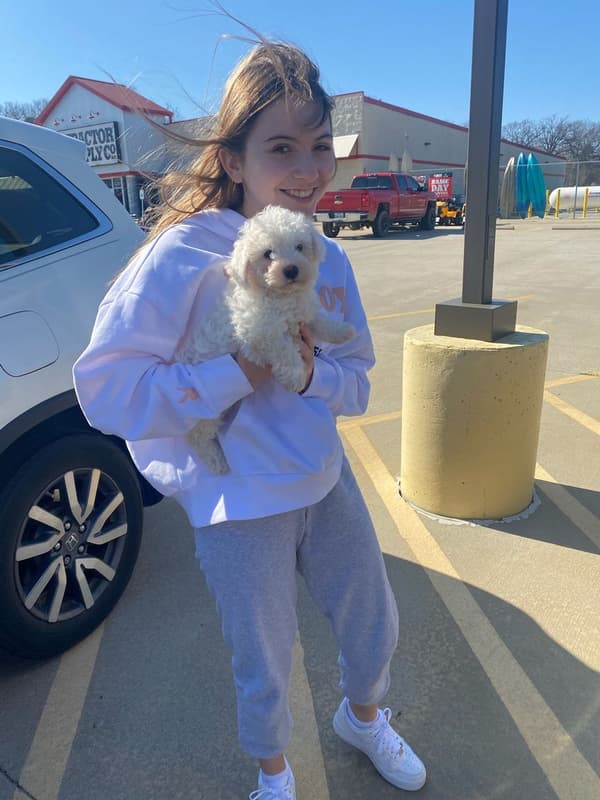 Customer photo of Bichon Frise puppy from Robin B.