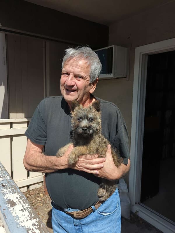 Customer photo of Cairn Terrier puppy from Daniel A.