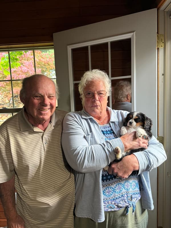 Customer photo of Cavalier King Charles Spaniel puppy from Peter L.
