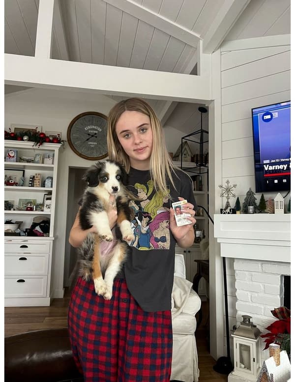 Customer photo of Australian Shepherd puppy from Annabella L.