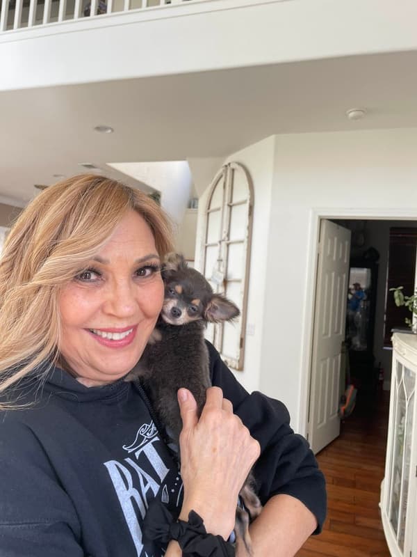 Customer photo of Chihuahua puppy from Janan W.