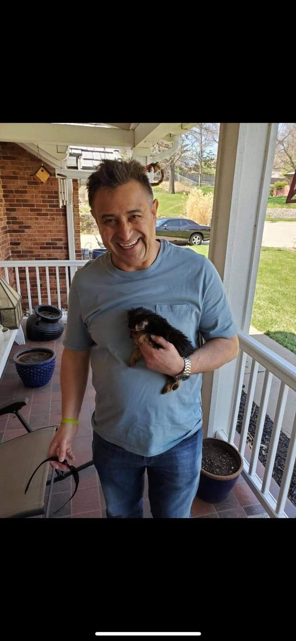 Customer photo of Yorkshire Terrier - Yorkie puppy from CYNTHIA C.