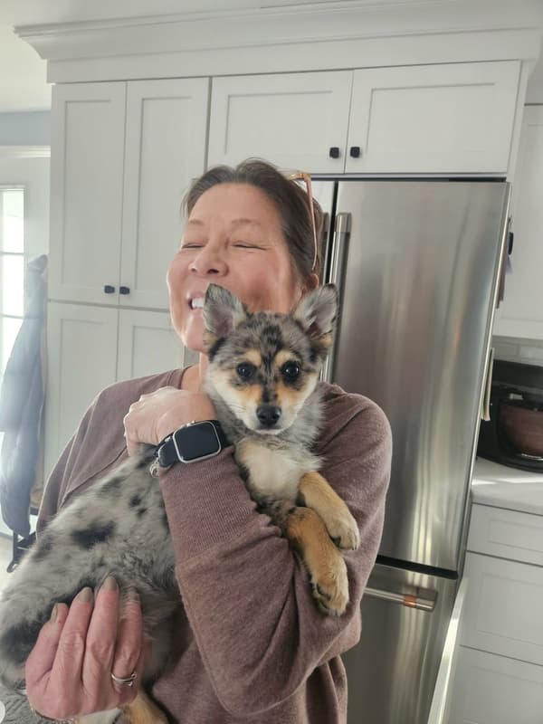 Customer photo of Pomsky puppy from Kathryn P.
