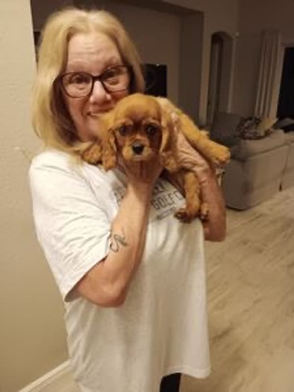 Customer photo of Cavalier King Charles Spaniel puppy from Darlyne F. 