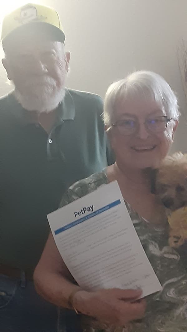 Customer photo of Bich-Poo - Bichpoo puppy from Lori B.