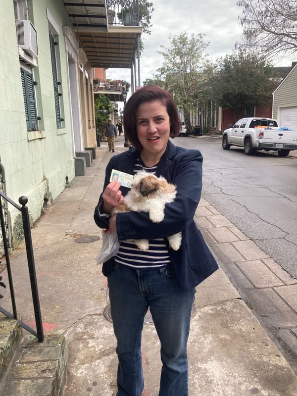 Customer photo of Shih Tzu puppy from Ashley C.