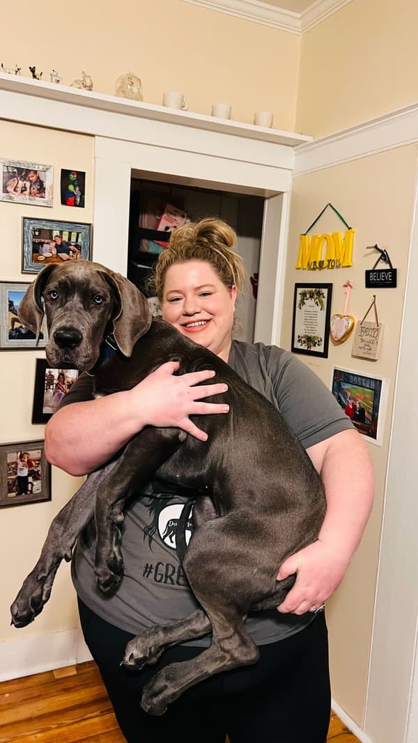 Customer photo of Great Dane puppy from Chessie L.