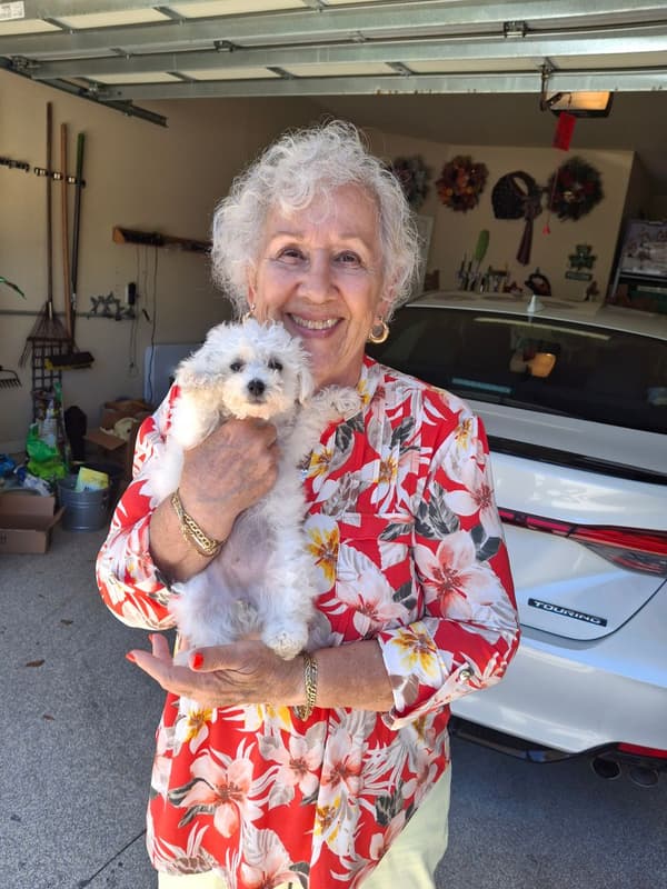 Customer photo of Poodle, Toy puppy from Emma C.
