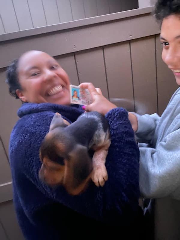 Customer photo of Beagle puppy from Kemp H.