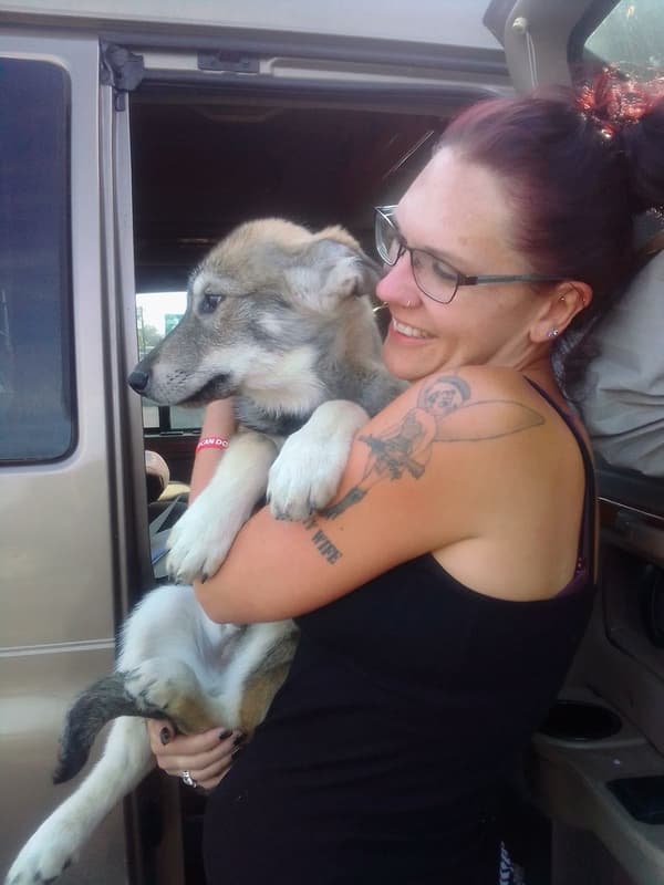 Customer photo of Wolf Hybrid puppy from Amanda P.