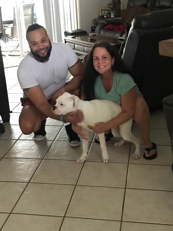 Customer photo of Boxer puppy from Randy D