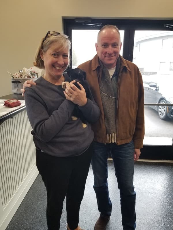 Customer photo of Schnauzer, Miniature puppy from Sara Z.