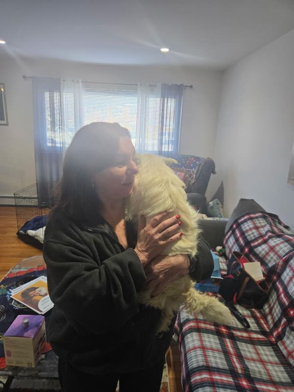 Customer photo of West Highland White Terrier - Westie puppy from Debra M.