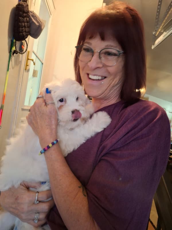 Customer photo of Cavapoo puppy from Kim A.